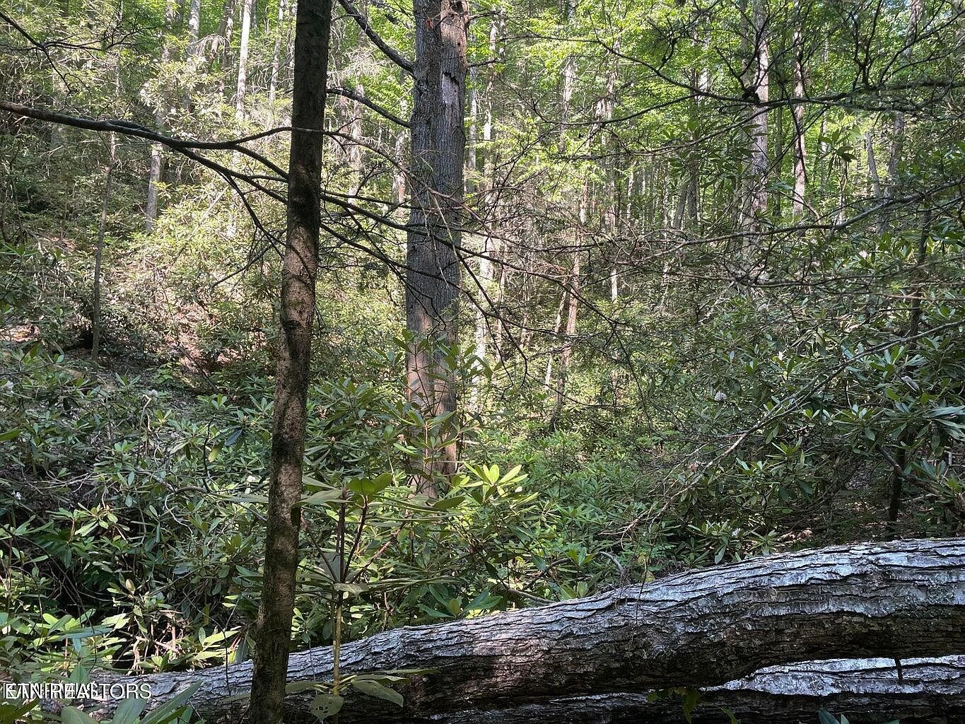 LOT 6 Sycamore St Sevierville, TN 37876 - Thumbnail 3