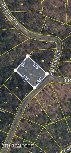LOT 103 Buckeye Rd Sevierville, TN 37876 - Thumbnail 3