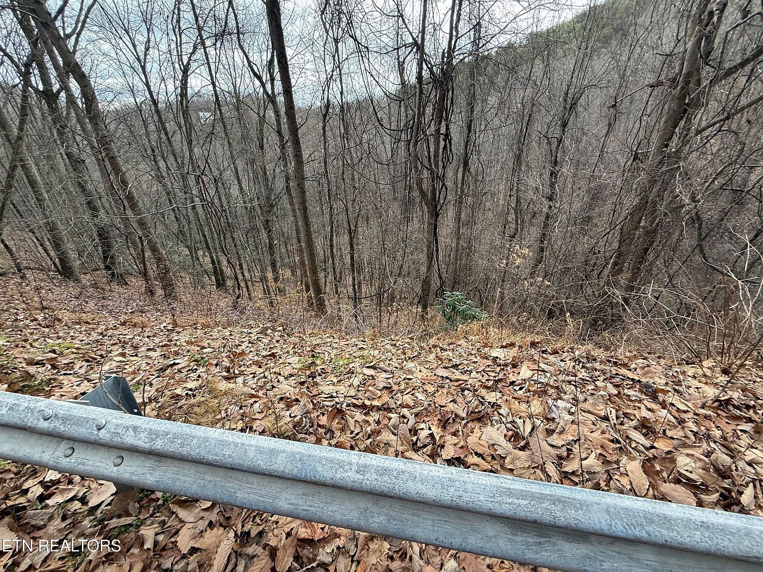 LOT 34 Alpine Dr Sevierville, TN 37876 - Thumbnail 3