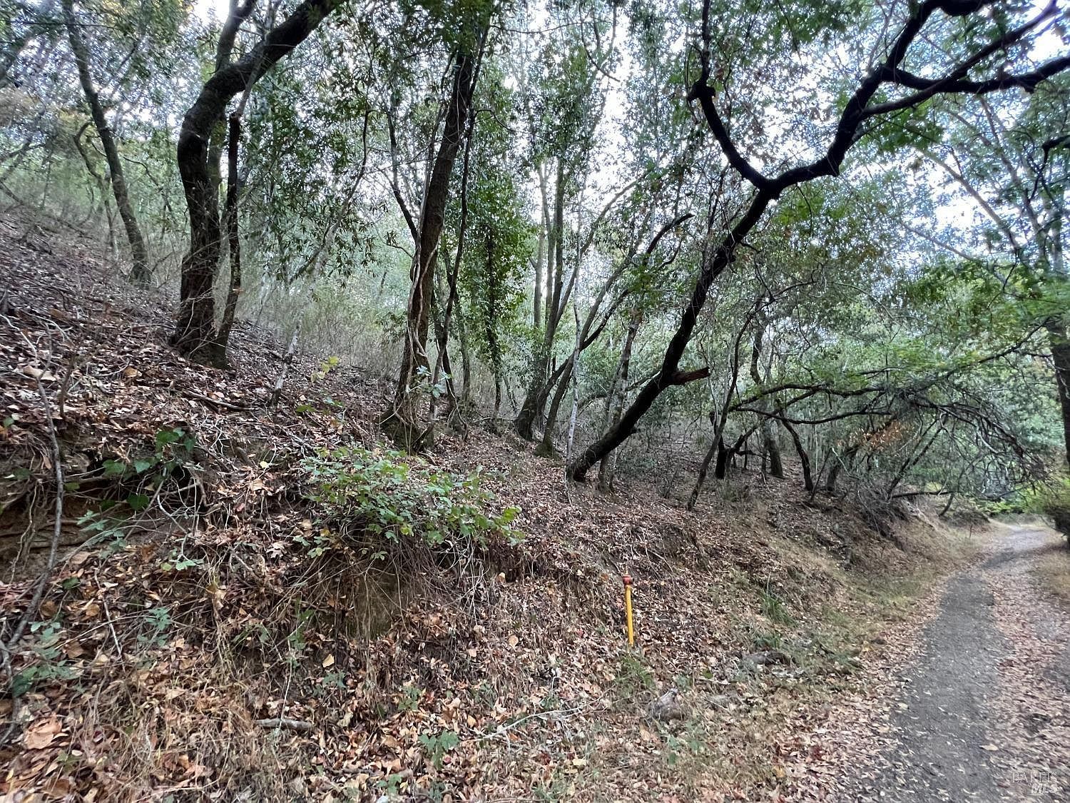 0 Cypress Dr Fairfax, CA 94930 - Thumbnail 3