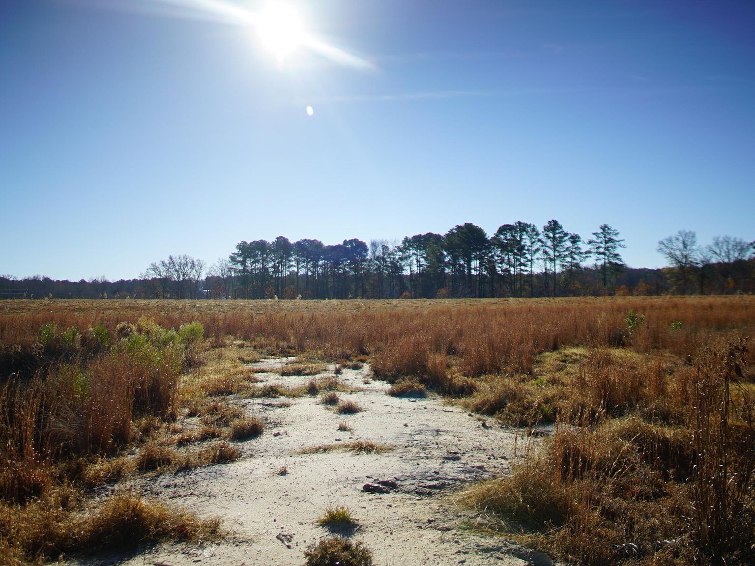 111 Old Wagon Ln LOT 2 Sanford, NC 27332 - Thumbnail 3