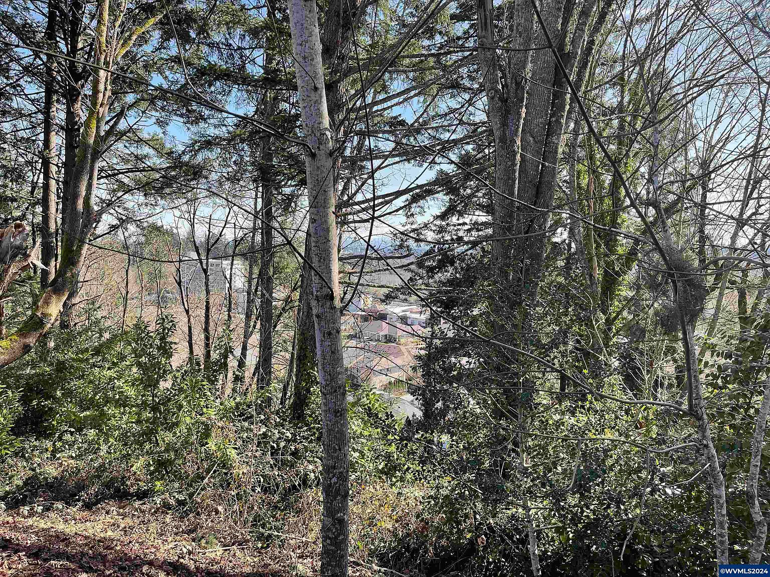 340 View Dr NW Salem, OR 97304 - Thumbnail 3