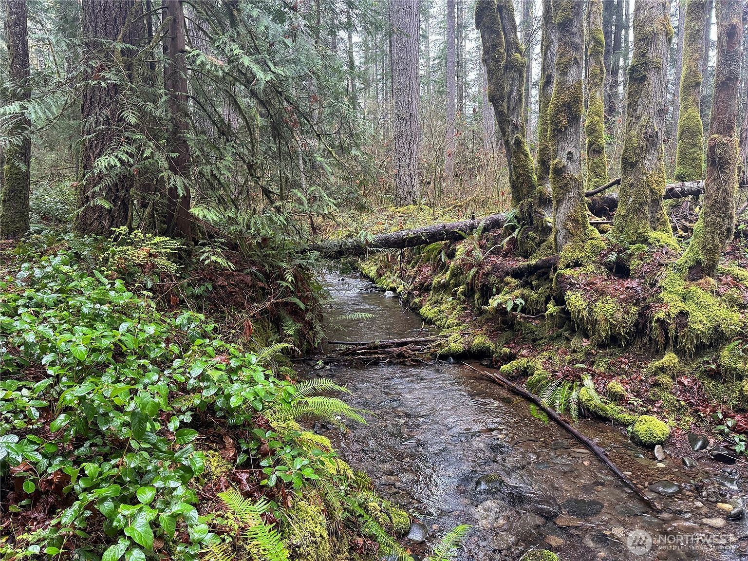 300 N Mount Jupiter Dr Hoodsport, WA 98548 - Thumbnail 3