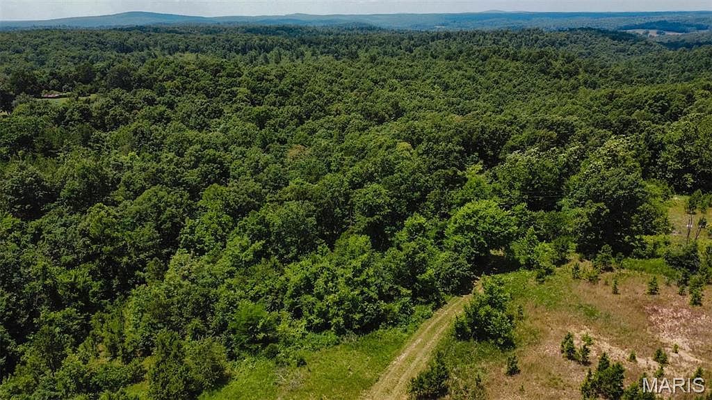 0 Madison St #247 Fredericktown, MO 63645 - Thumbnail 3