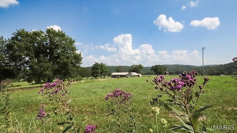 9111 Highway E Fredericktown, MO 63645 - Thumbnail 3