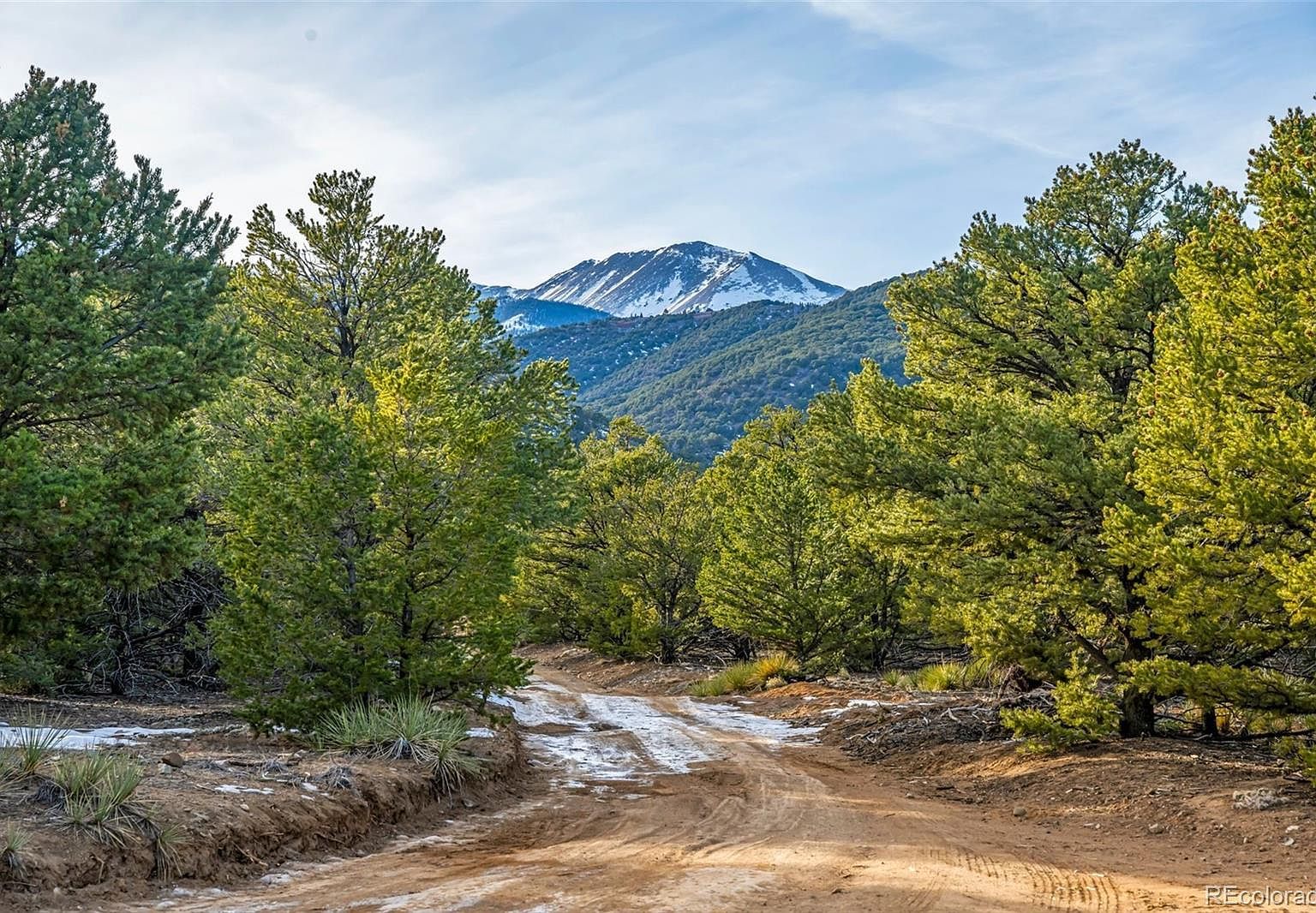 830 High Peaks Ranch Rd Coaldale, CO 81222 - Thumbnail 3