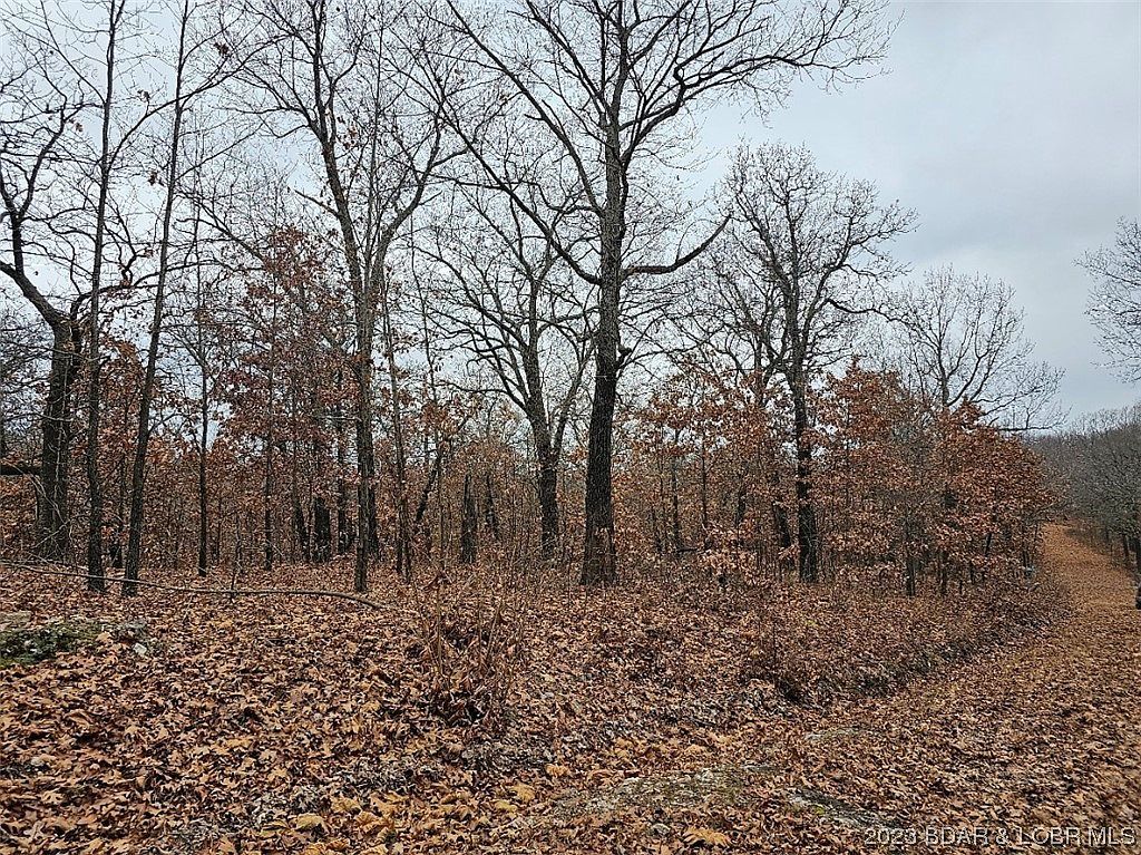 LOT 1448 Charlap Ln Edwards, MO 65326 - Thumbnail 3