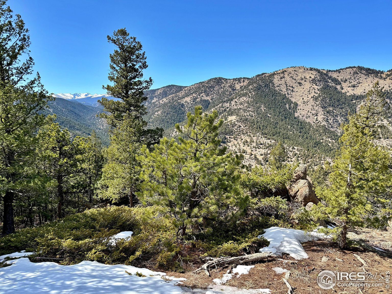 323 Roxbury Dr Boulder, CO 80302 - Thumbnail 3