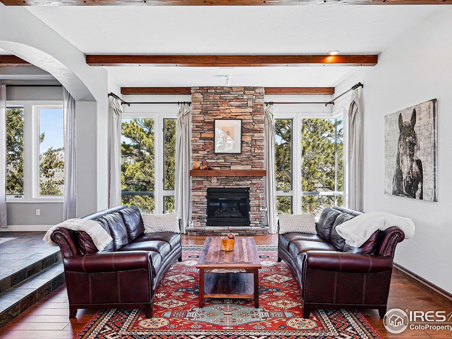 290 Skyhill Dr Evergreen, CO 80439 - Thumbnail 3