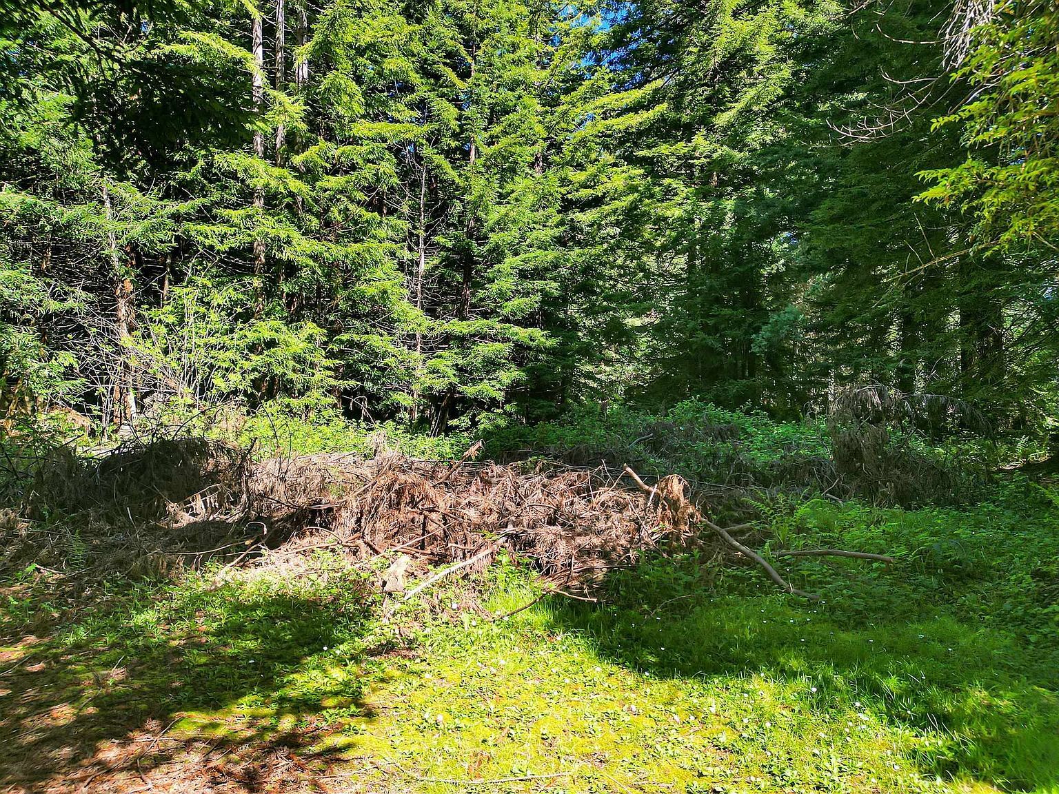 0 Cody Ln Crescent City, CA 95531 - Thumbnail 3
