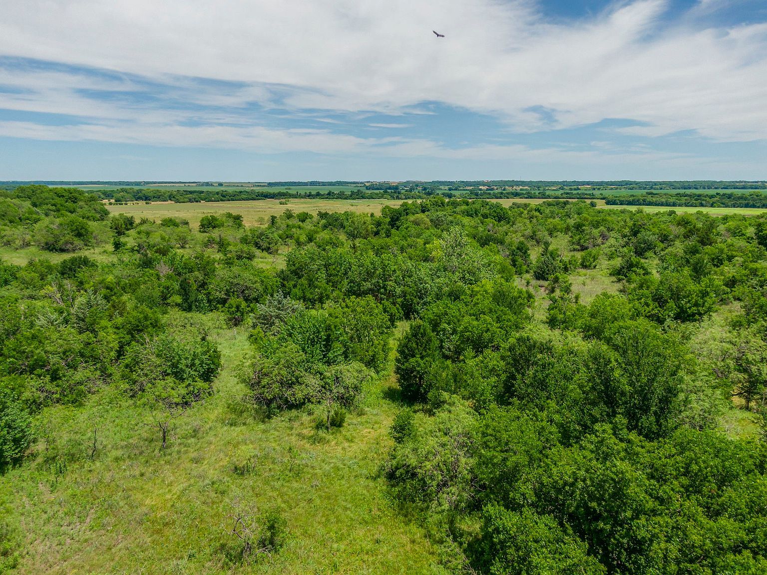 0 White Rock Rd Italy, TX 76651 - Thumbnail 3