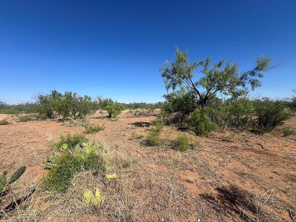 0 E Moss Lake Rd Big Spring, TX 79720 - Thumbnail 3