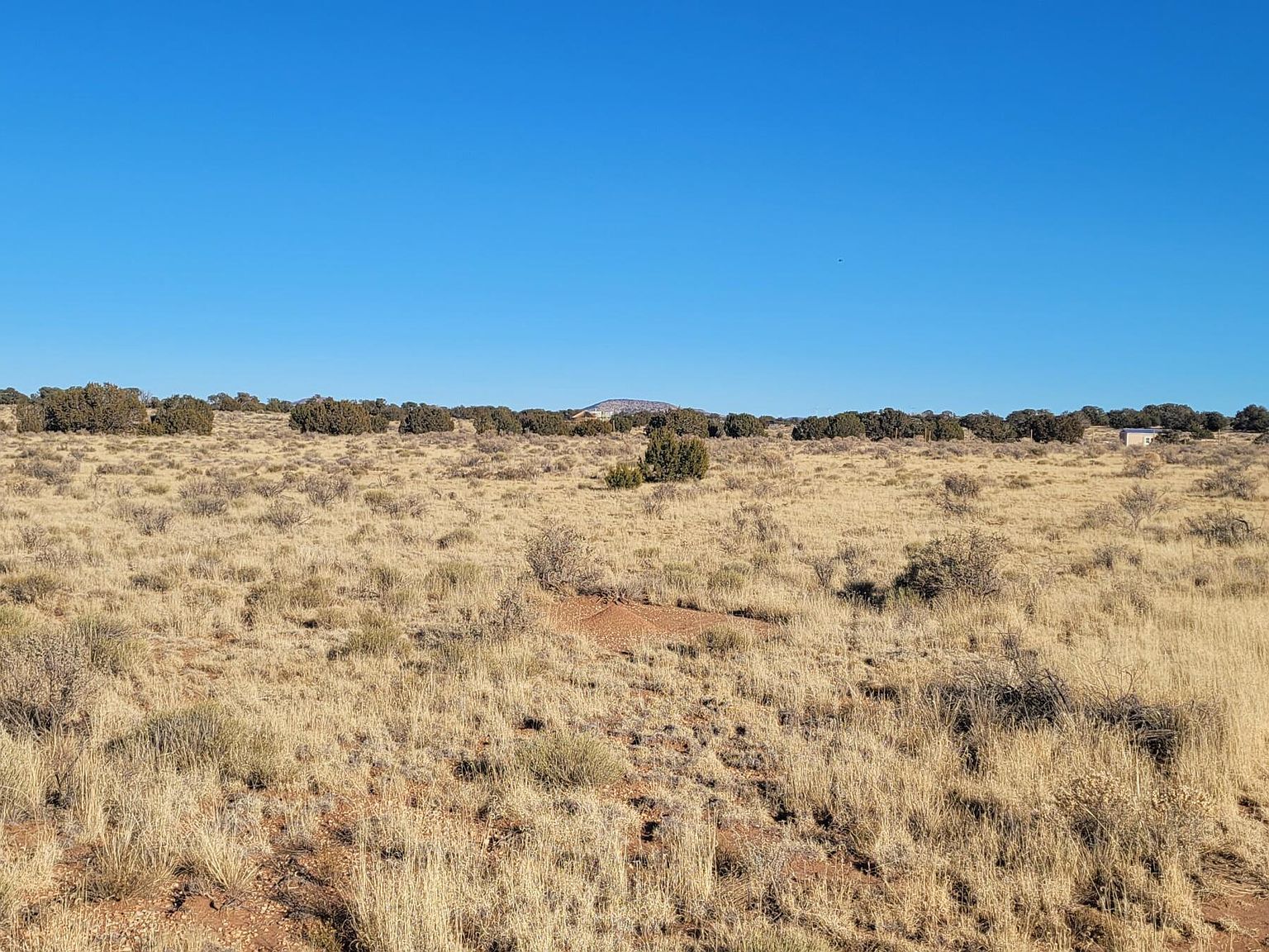 3109 E Judy Dr #215 Williams, AZ 86046 - Thumbnail 3