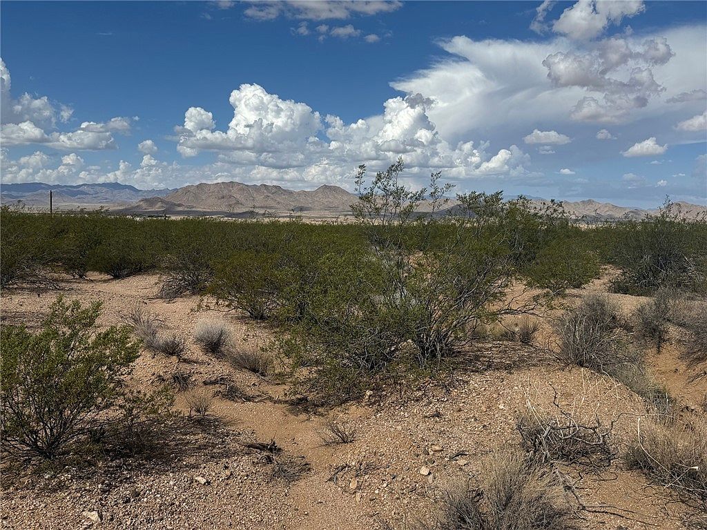 8923 N Lariat Dr Kingman, AZ 86401 - Thumbnail 3