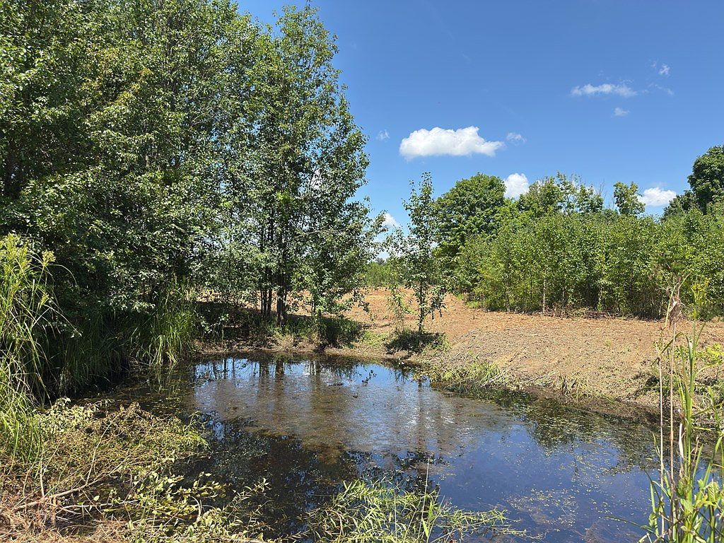 0 Marcrom Rd Morrison, TN 37357 - Thumbnail 3