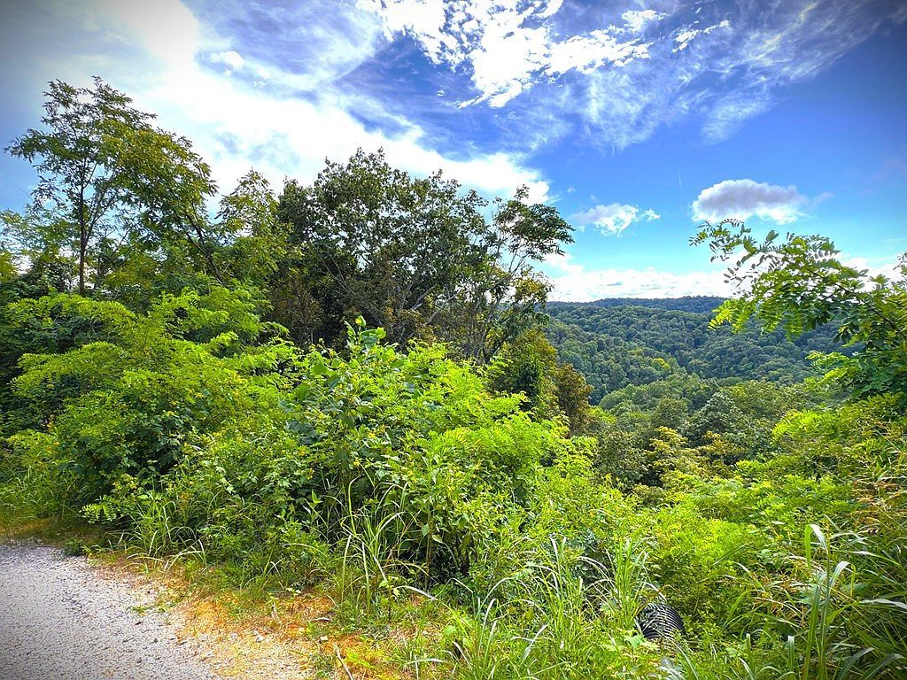 142C Sunfish Ln Hilham, TN 38568 - Thumbnail 3