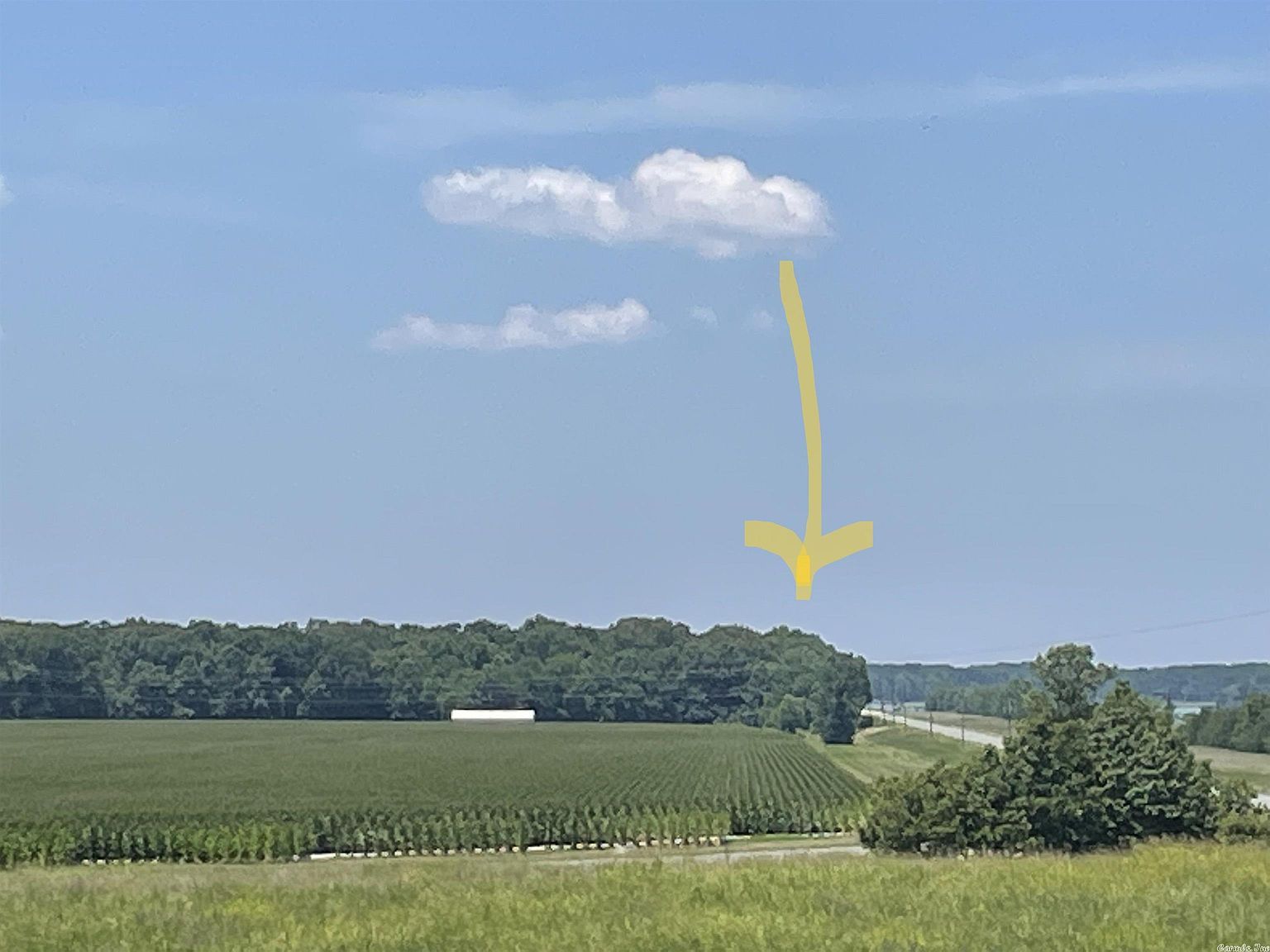 0 Wilbur D Mills Rd Tichnor, AR 72166 - Thumbnail 3