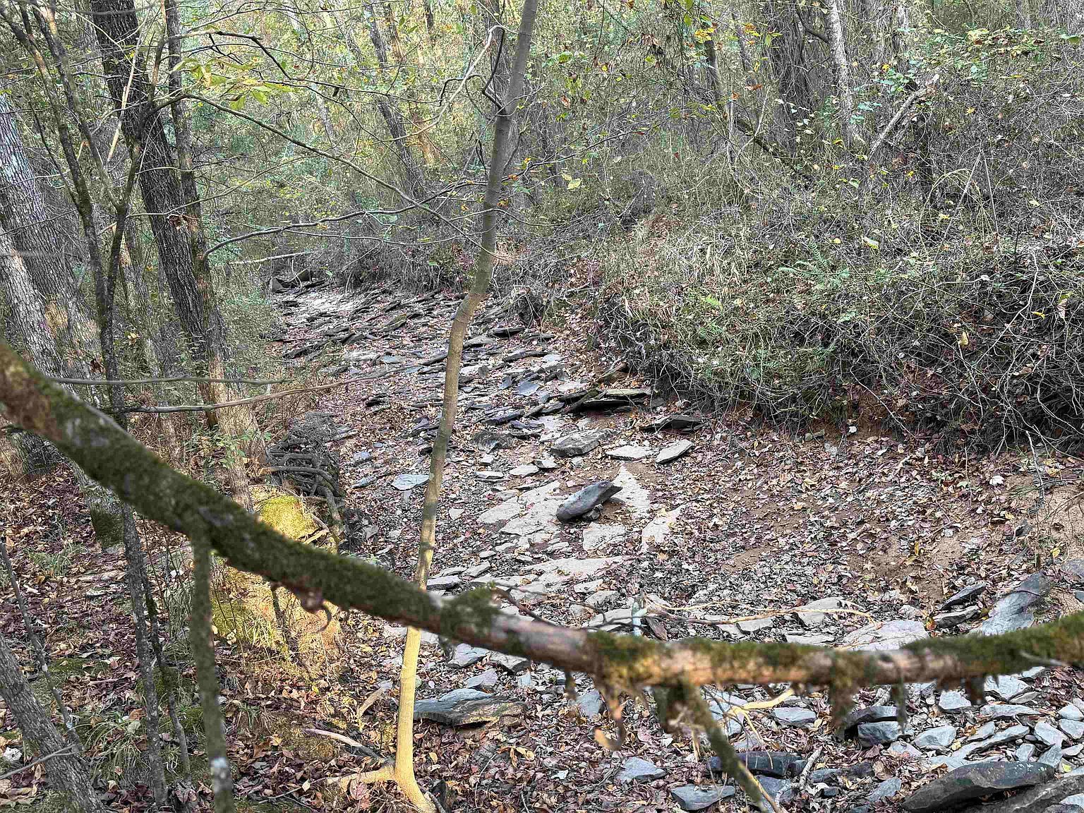 271 County Line Rd Rose Bud, AR 72137 - Thumbnail 3