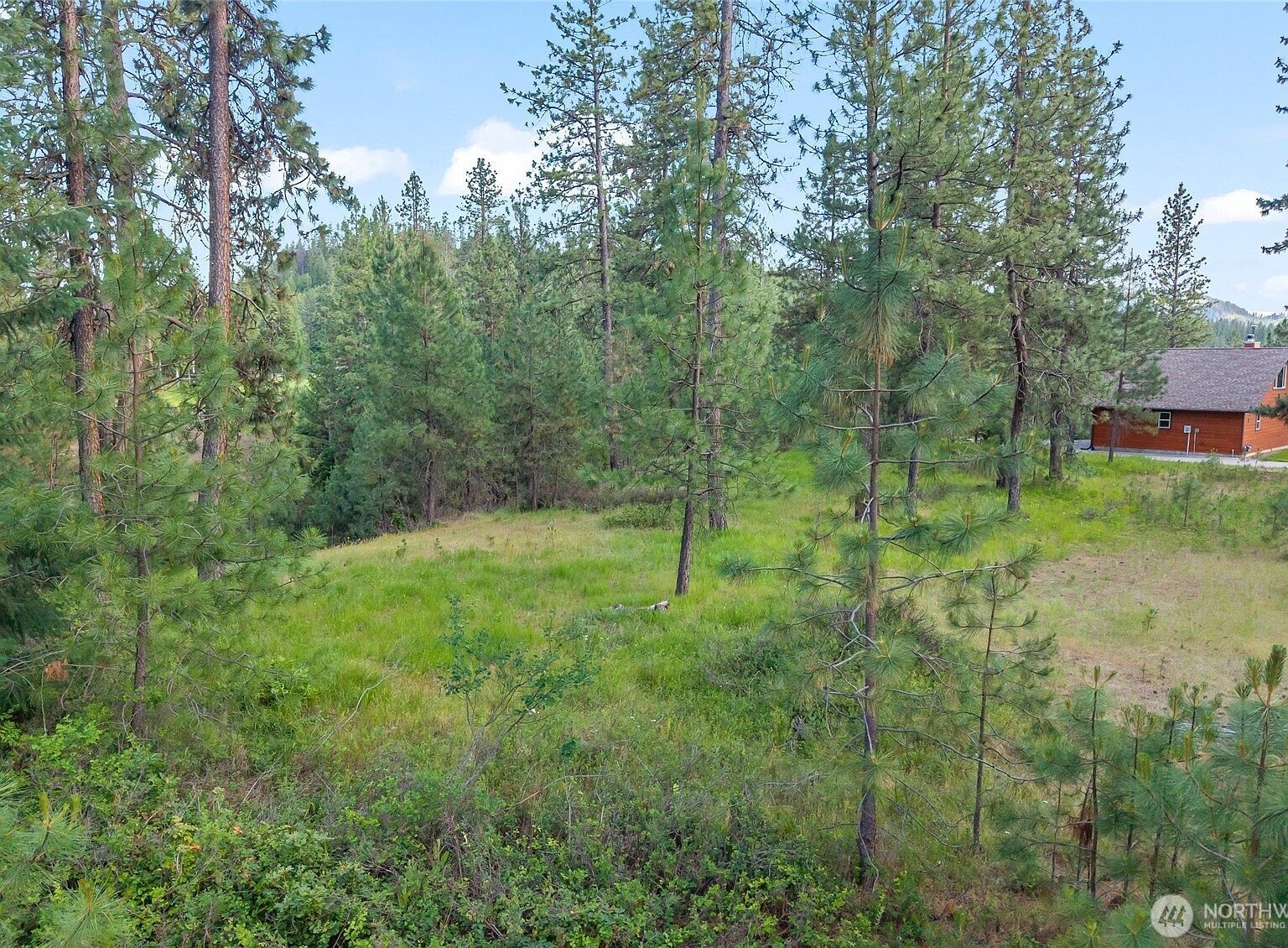 5XX Couples Ct Chewelah, WA 99109 - Thumbnail 3