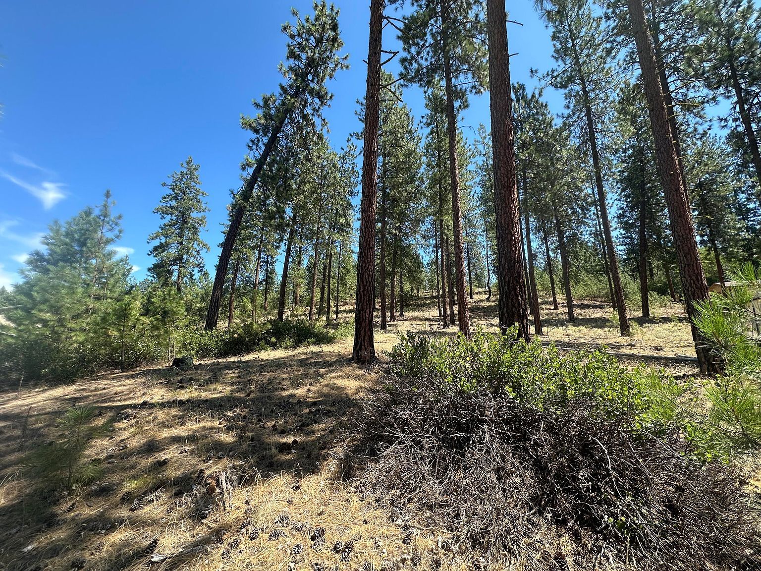 1363 Arthur Ct Kettle Falls, WA 99141 - Thumbnail 3