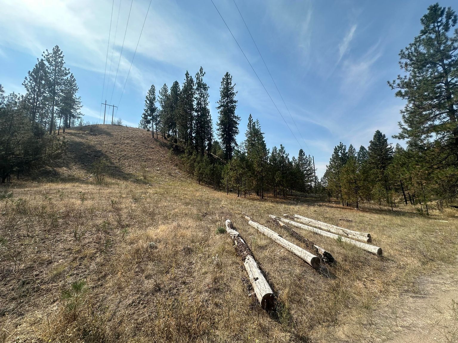 5699 Highway 231 Hwy #C Ford, WA 99013 - Thumbnail 3