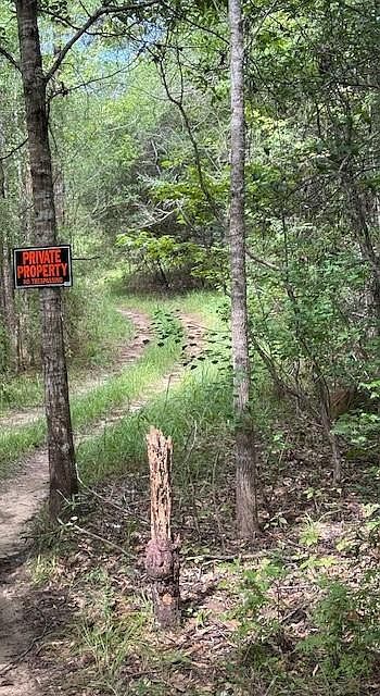 Dillon Rd Kentwood, LA 70444 - Thumbnail 3