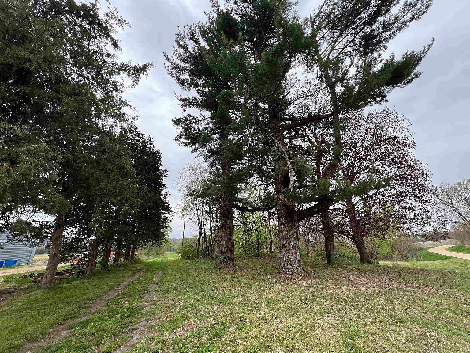 10113 S Crazy Hollow Rd Hanover, IL 61041 - Thumbnail 3