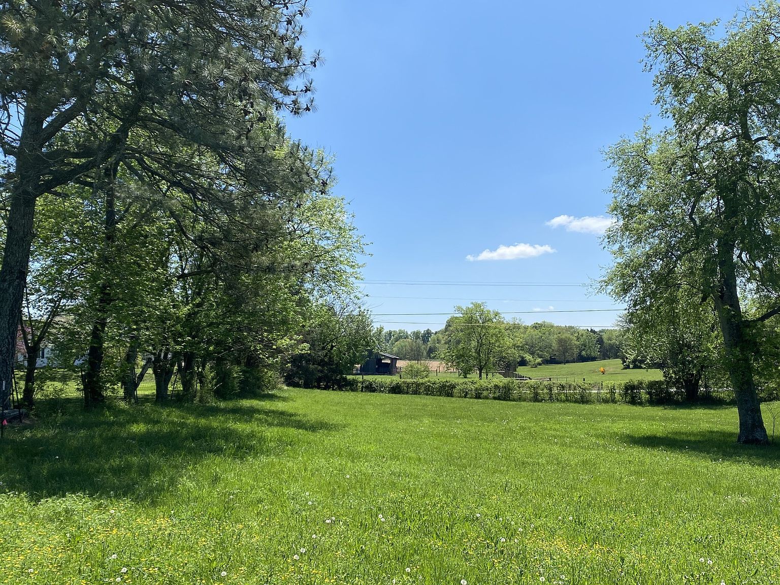 0 Midland Fosterville Rd LOT 2B Bell Buckle, TN 37020 - Thumbnail 3