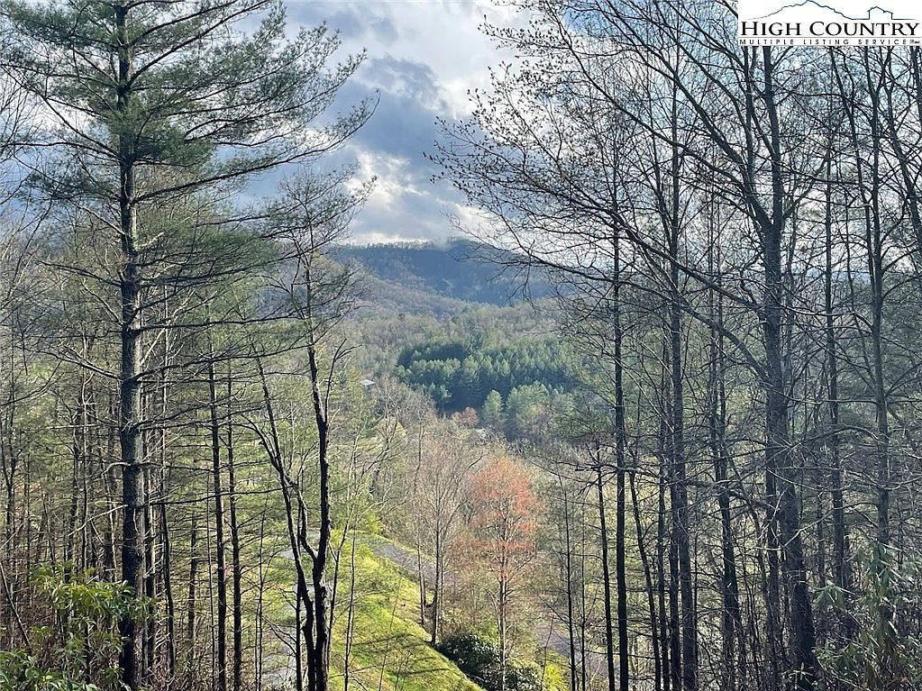 8 River Ln West Jefferson, NC 28694 - Thumbnail 3