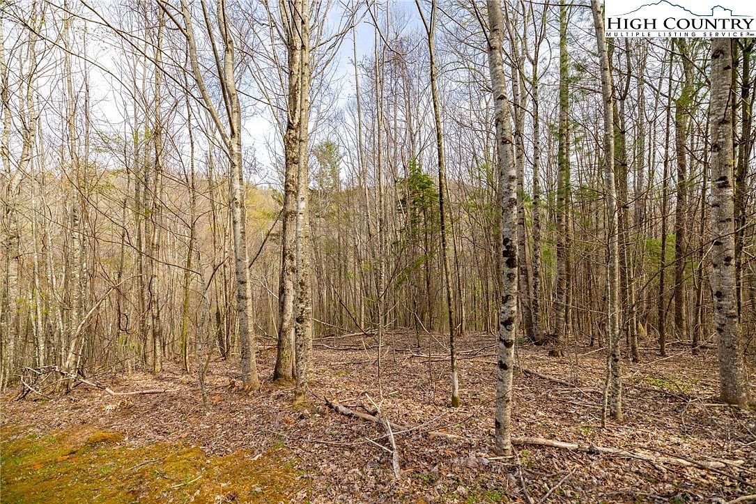 15 Bluff Canyon Dr West Jefferson, NC 28694 - Thumbnail 3