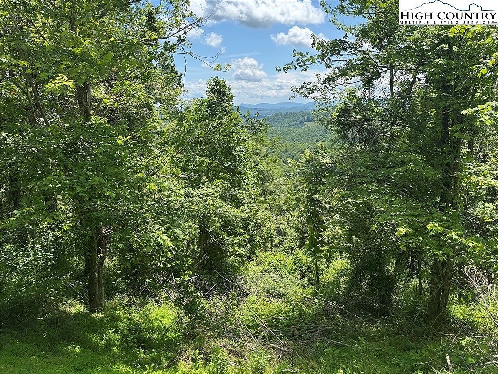 Tbd LOT 2 Mouth Of Wilson, VA 24363 - Thumbnail 3