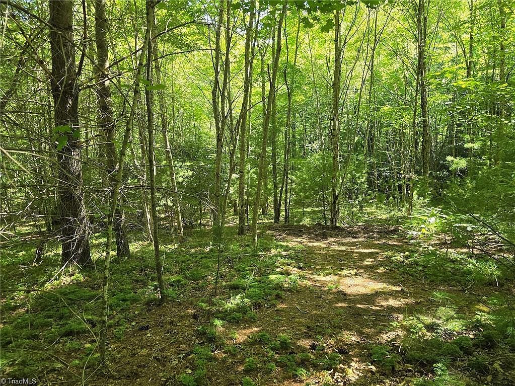 50 Deer Spring Ln West Jefferson, NC 28694 - Thumbnail 3