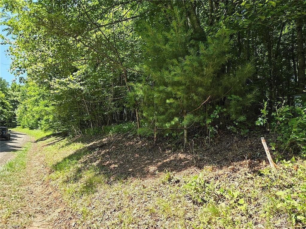 76 White Tail Trl LOT 76 West Jefferson, NC 28694 - Thumbnail 3