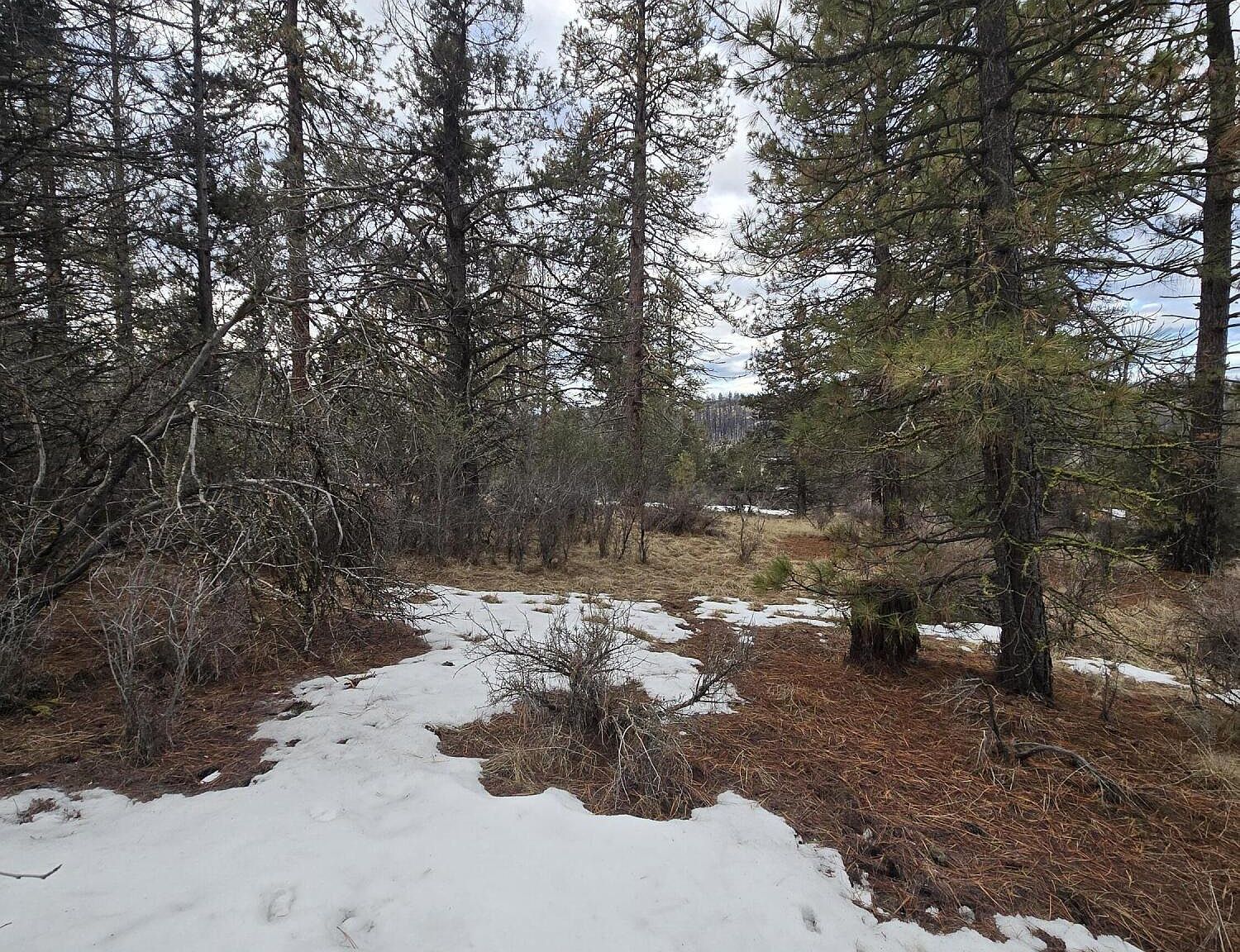 Jaguar Ln LOT 7 & 8 Bonanza, OR 97623 - Thumbnail 3