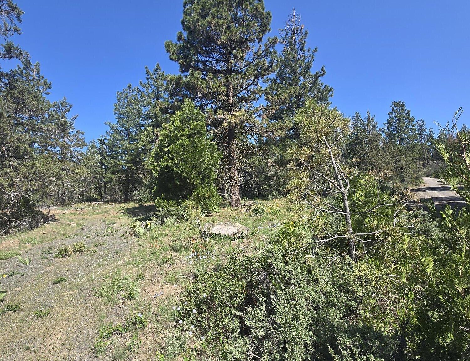 Meadow Lark Dr LOT 12 Bonanza, OR 97623 - Thumbnail 3