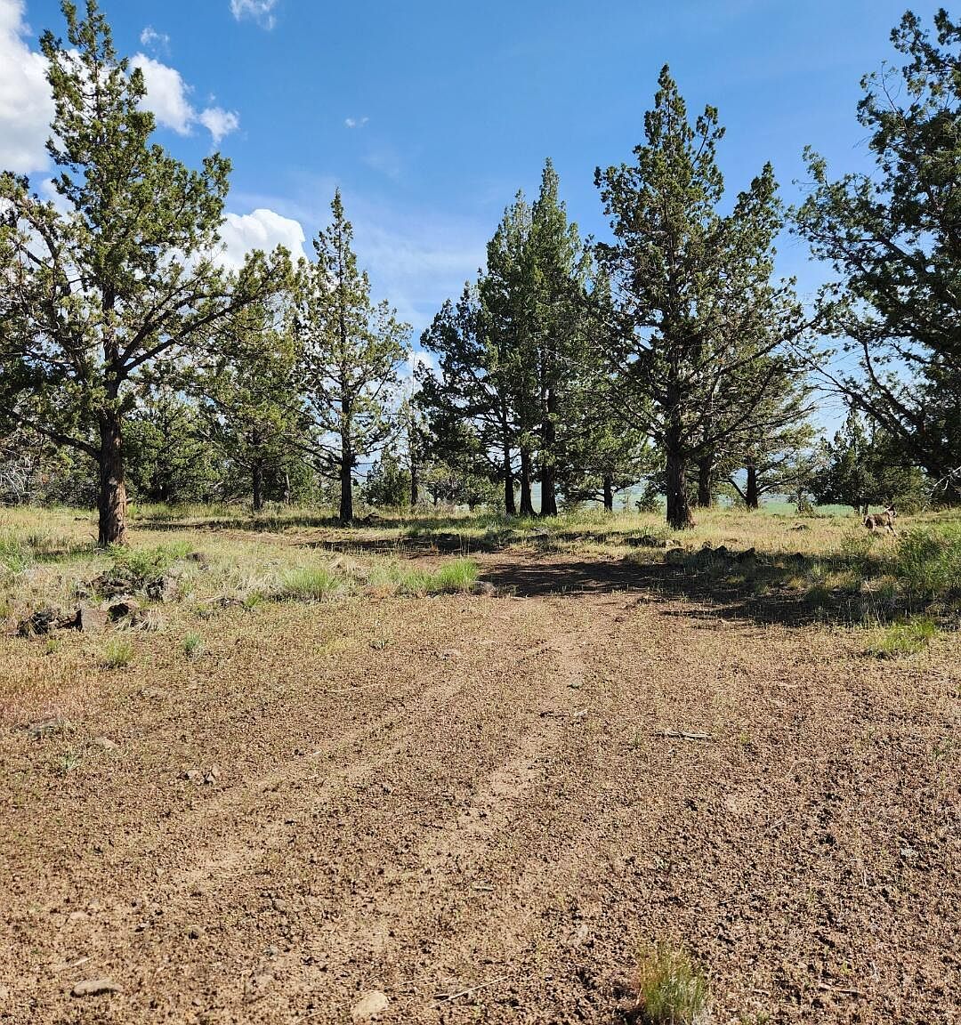 E Hummingbird Ln LOT 5 Alturas, CA 96101 - Thumbnail 3