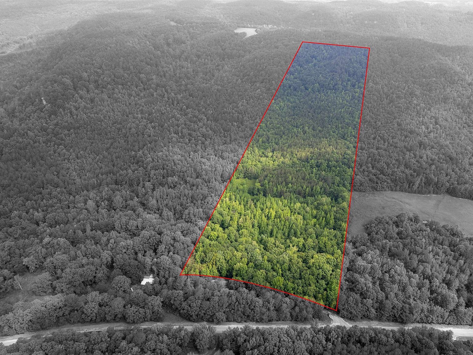 0 Posey Loop Tuscumbia, AL 35674 - Thumbnail 3