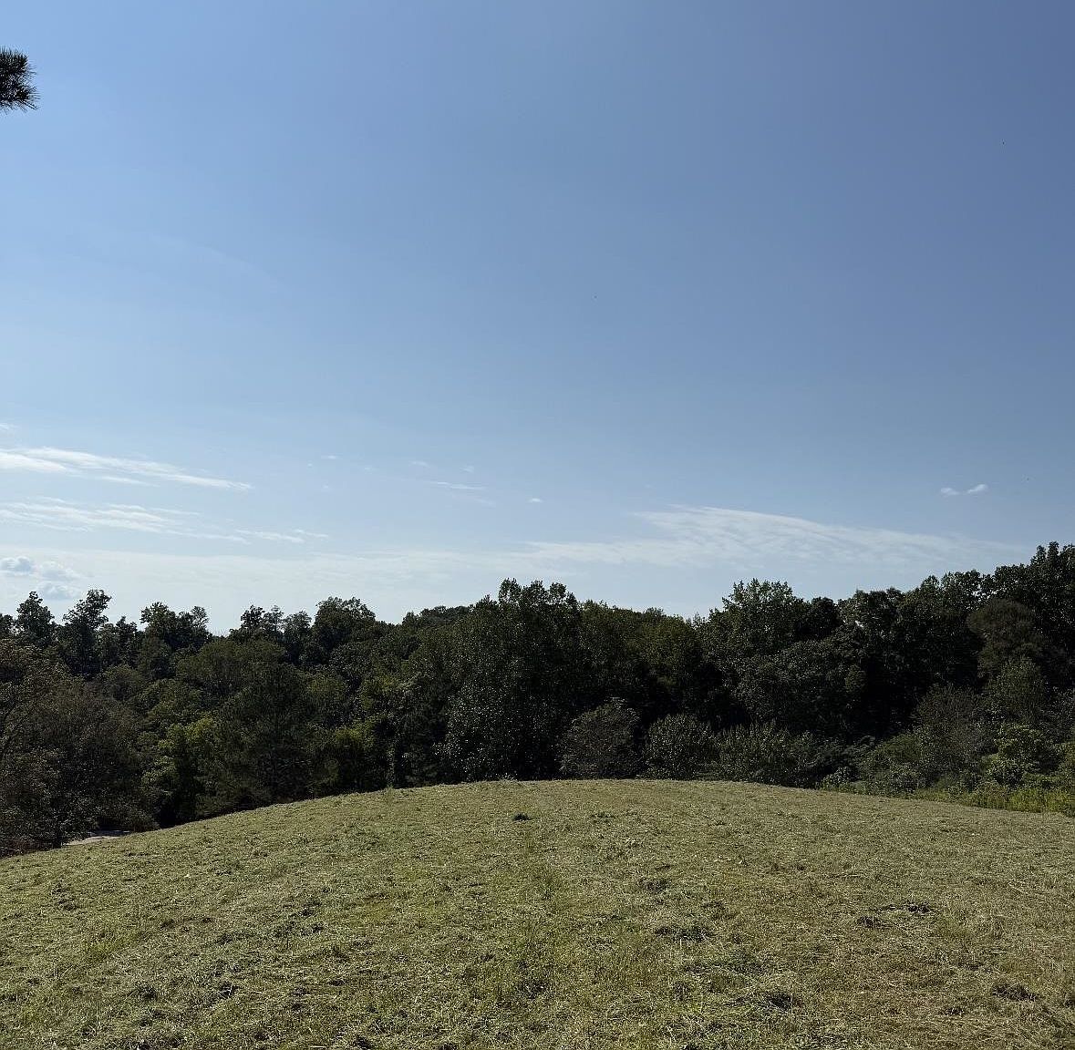 5221 County Road 50 Lexington, AL 35648 - Thumbnail 3