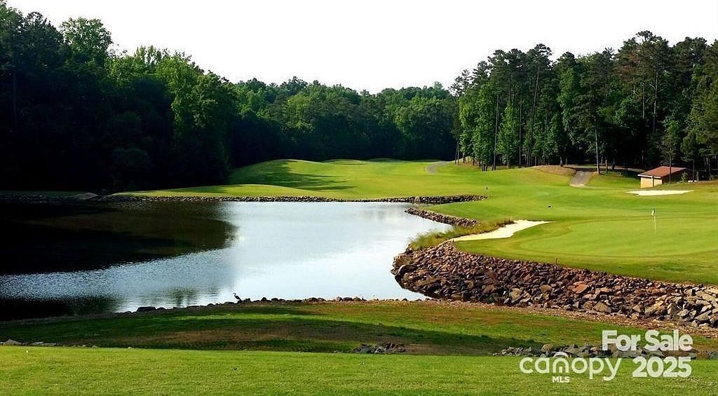 0 Tradition Dr Mount Gilead, NC 27306 - Thumbnail 3