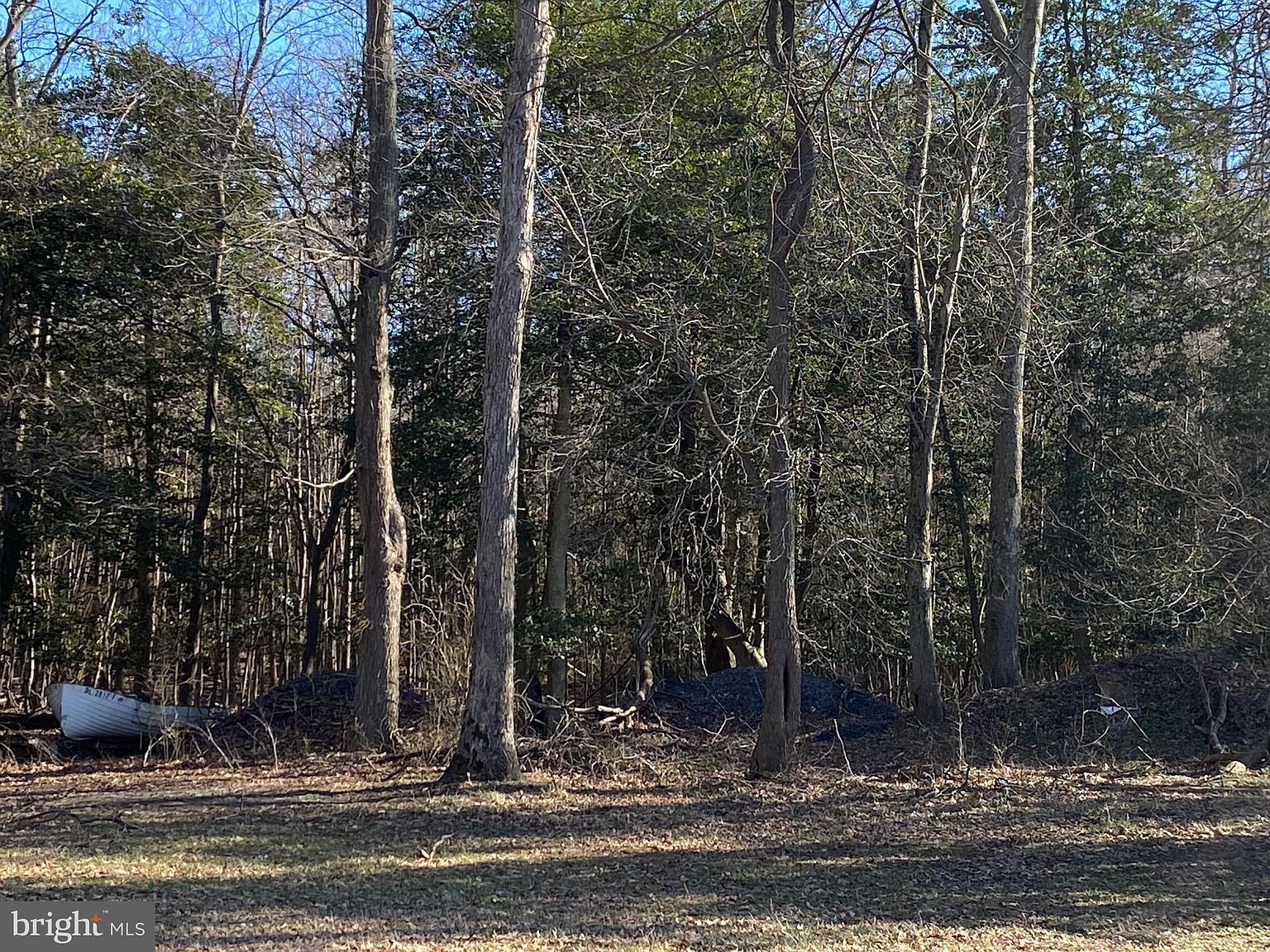 LOT 1 Pear Tree Rd Millsboro, DE 19966  | Land/Lot