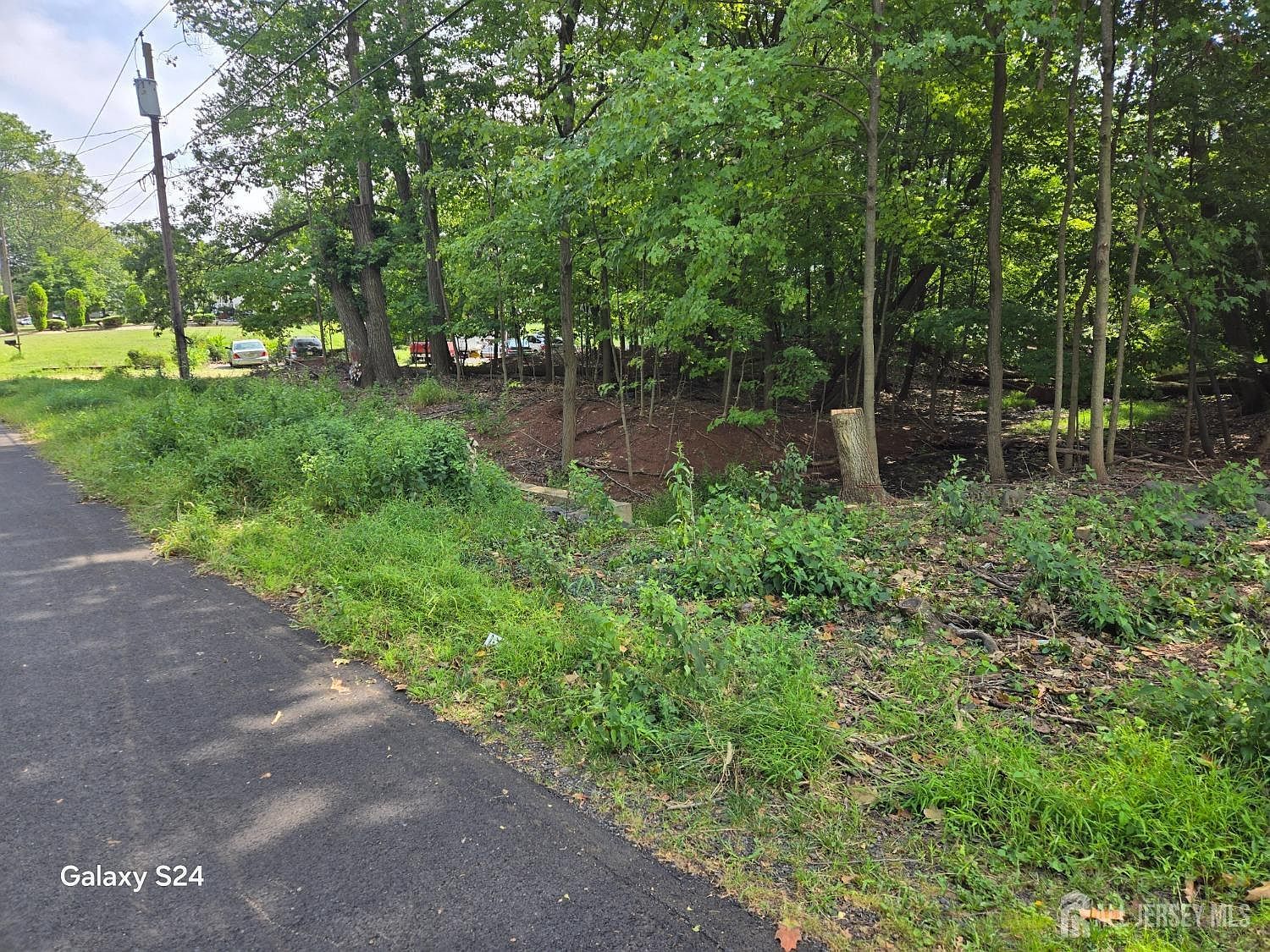 17 Lake Park Dr Piscataway, NJ 08854 - Thumbnail 3