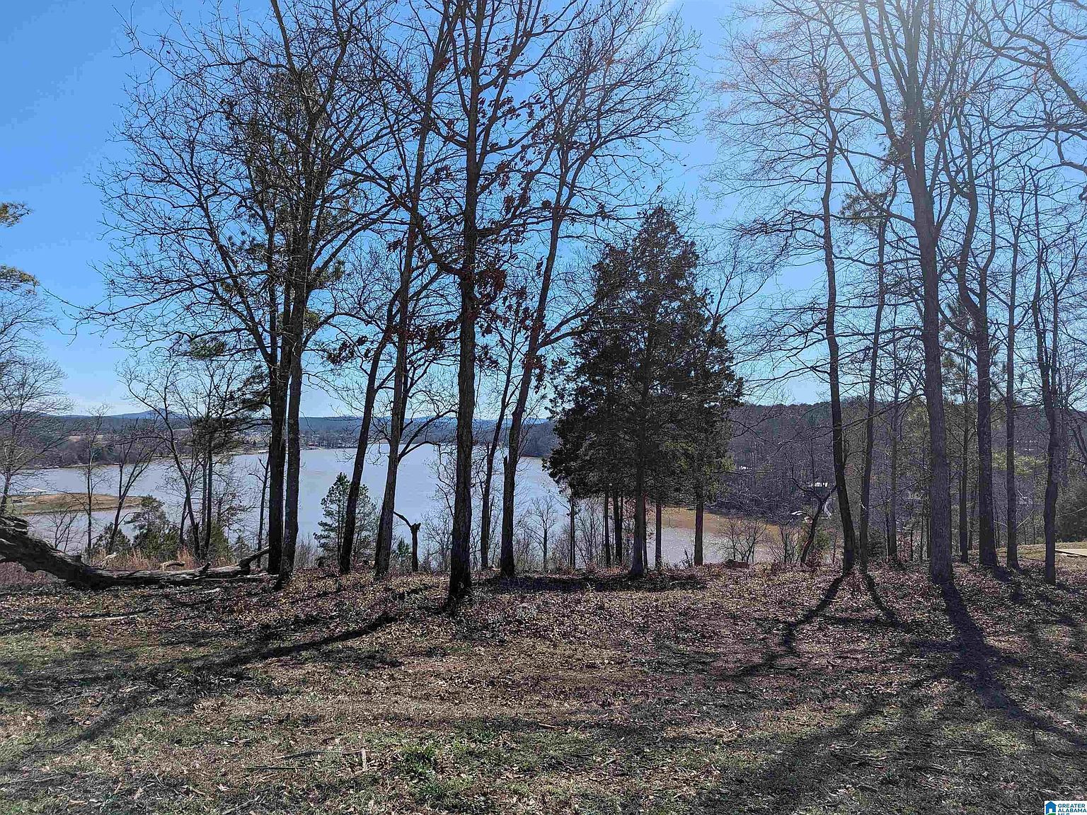 0 Overlook Rdg #0 Lincoln, AL 35096 - Thumbnail 3