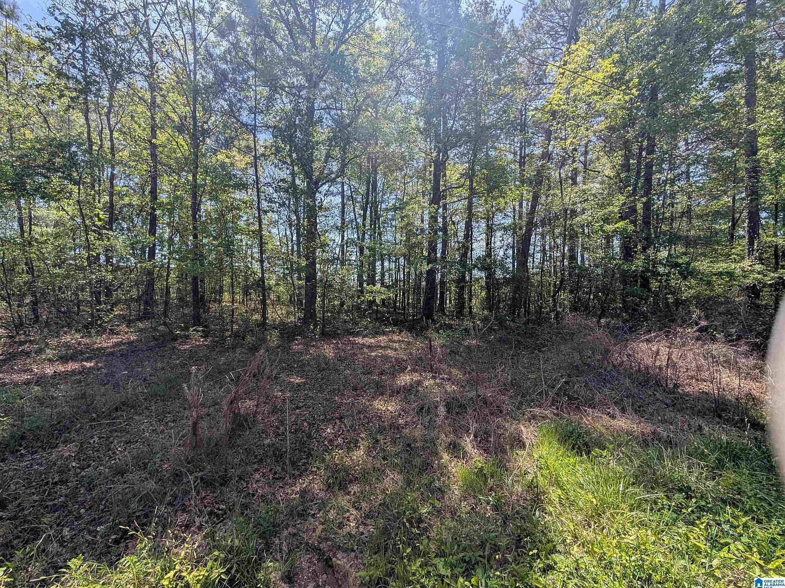 0 Paradise Ave #11 Gadsden, AL 35903 - Thumbnail 3