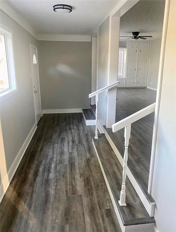 831 W Alice Ave Kingsville, TX 78363 - Thumbnail 3