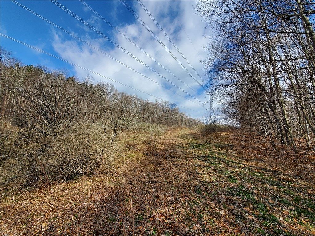 4 & LOT 5 Mount Vision, NY 13810 - Thumbnail 3