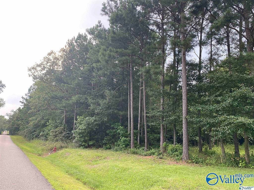 17.27 3rd St Gadsden, AL 35903  | Land/Lot