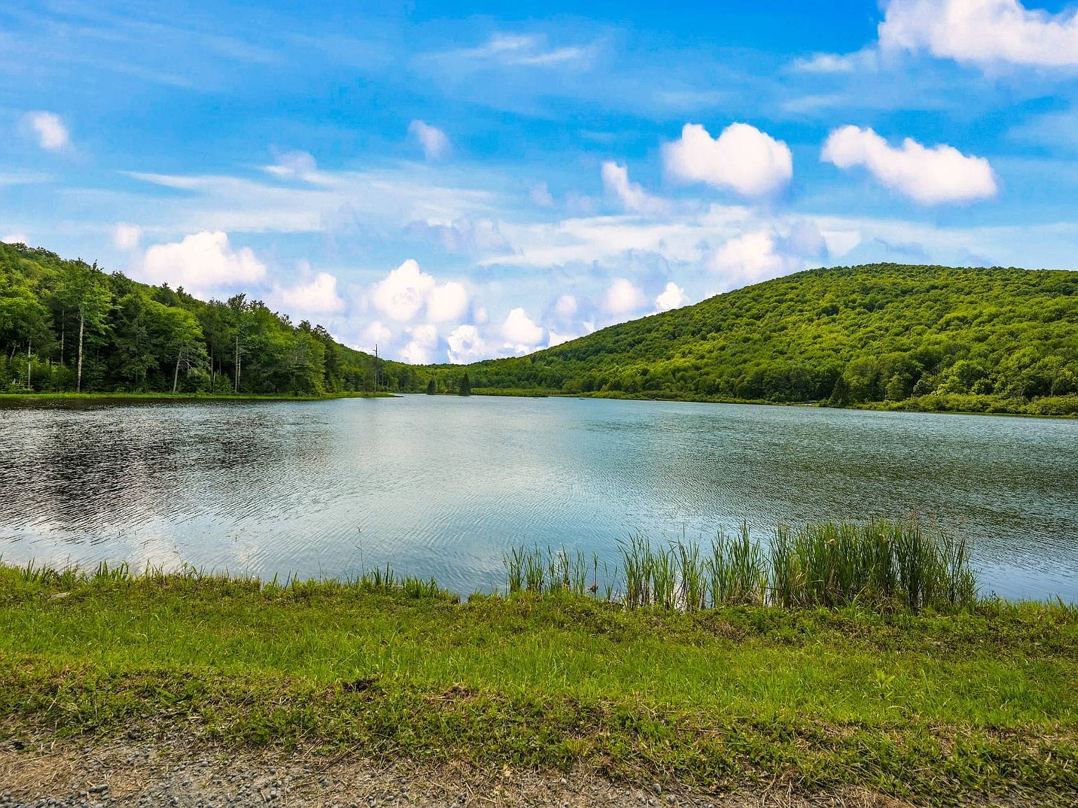 0 Deer Path Stamford, NY 12167 - Thumbnail 3