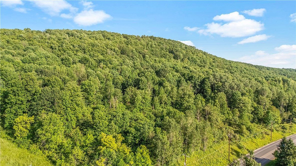 L311 County Road 32 Norwich, NY 13815 - Thumbnail 3