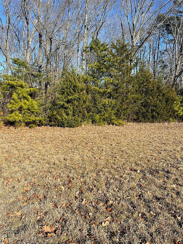 LOT 6 Fern Dr Clarksville, VA 23927 - Thumbnail 3