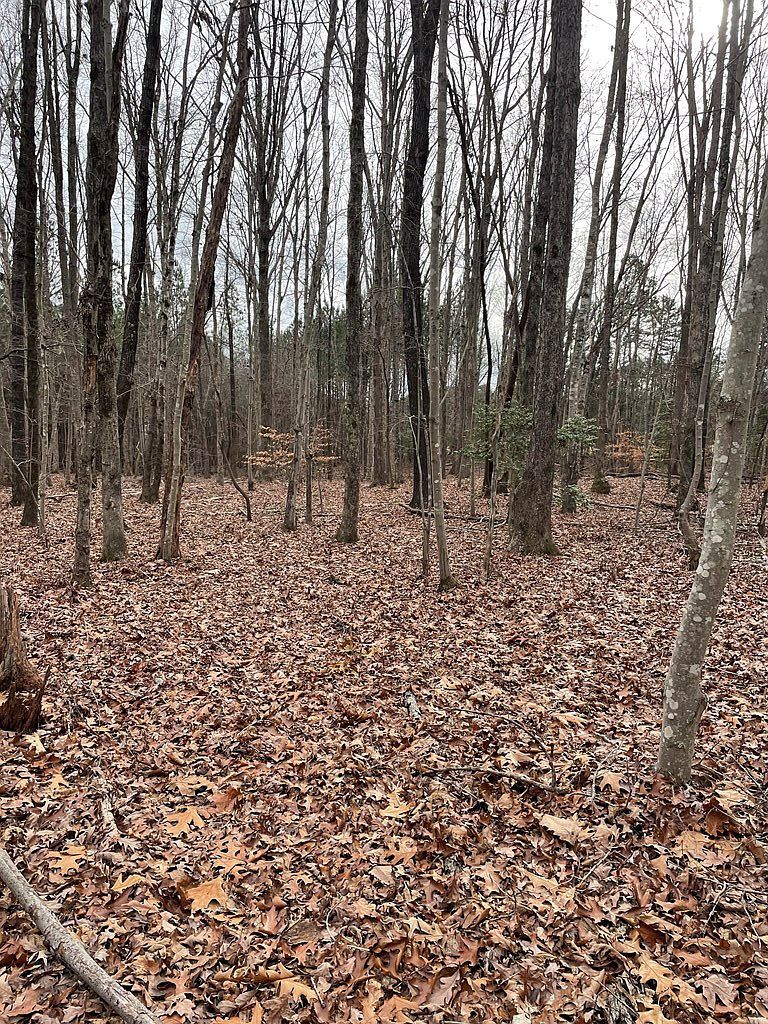 8 Eagles Rest Dr Clarksville, VA 23927 - Thumbnail 3